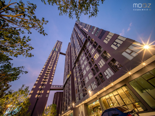 ModizSKV50 1268 1 scaled copy