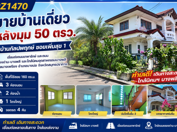 ChatGPT Image 19 มิ.ย. 2569 23 49 41