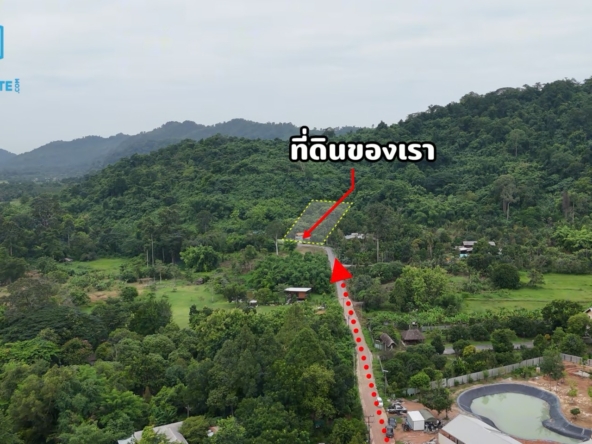 messageImage 1784447223747