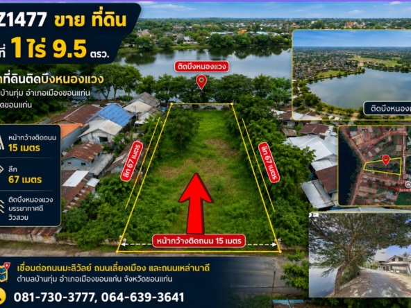 messageImage 1785848994526