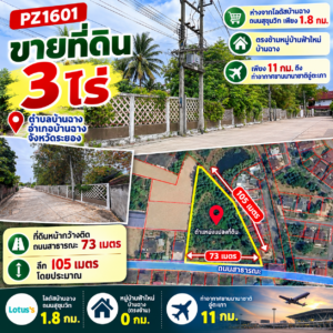 ChatGPT Image 24 ก.ย. 2569 14 50 46