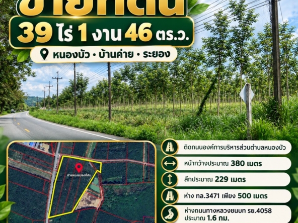 messageImage 1792683634737